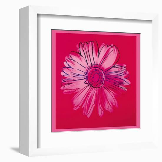 Daisy, c.1982 (Crimson and Pink)-Andy Warhol-Framed Giclee Print