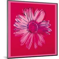 Daisy, c.1982 (Crimson and Pink)-Andy Warhol-Mounted Giclee Print