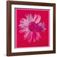 Daisy, c.1982 (Crimson and Pink)-Andy Warhol-Framed Giclee Print