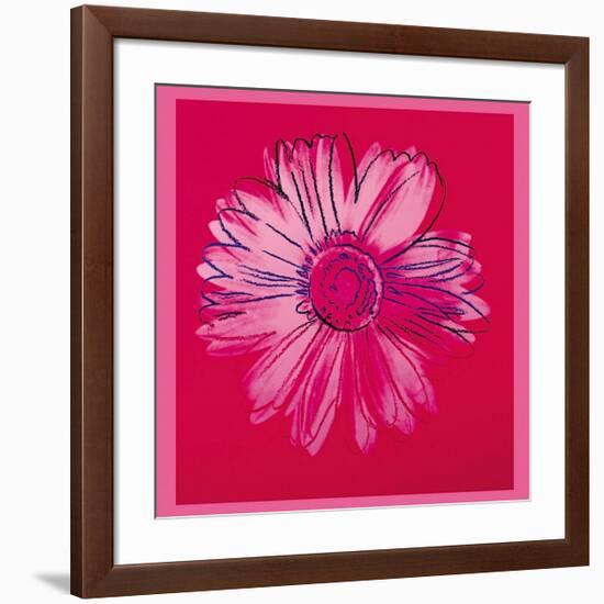 Daisy, c.1982 (Crimson and Pink)-Andy Warhol-Framed Giclee Print