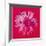 Daisy, c.1982 (Crimson and Pink)-Andy Warhol-Framed Giclee Print