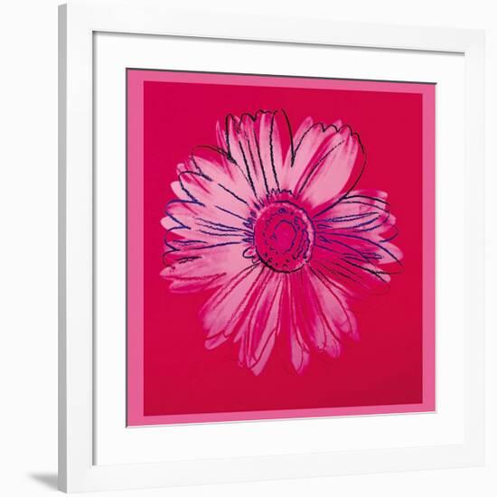 Daisy, c.1982 (Crimson and Pink)-Andy Warhol-Framed Giclee Print