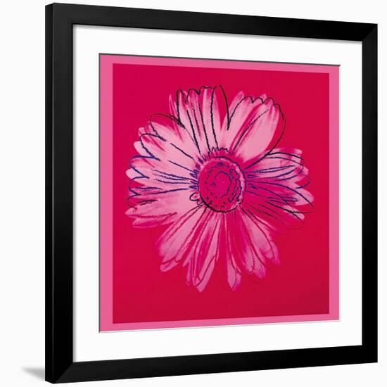 Daisy, c.1982 (Crimson and Pink)-Andy Warhol-Framed Giclee Print