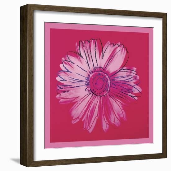 Daisy, c. 1982 (crimson and pink)-Andy Warhol-Framed Art Print