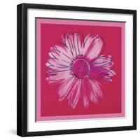 Daisy, c. 1982 (crimson and pink)-Andy Warhol-Framed Art Print