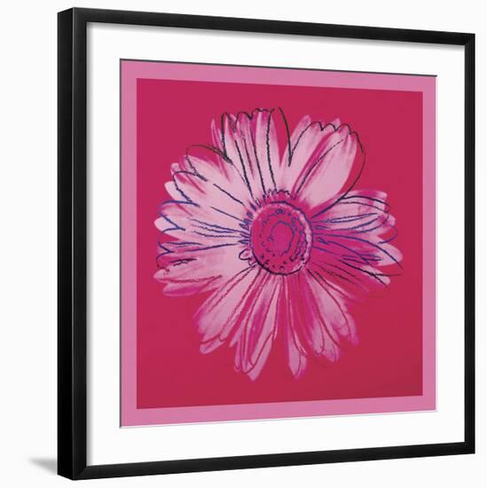 Daisy, c. 1982 (crimson and pink)-Andy Warhol-Framed Art Print