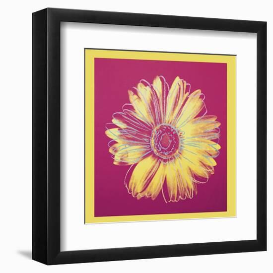 Daisy, c.1982 (Fuchsia and Yellow)-Andy Warhol-Framed Giclee Print