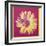 Daisy, c.1982 (Fuchsia and Yellow)-Andy Warhol-Framed Giclee Print