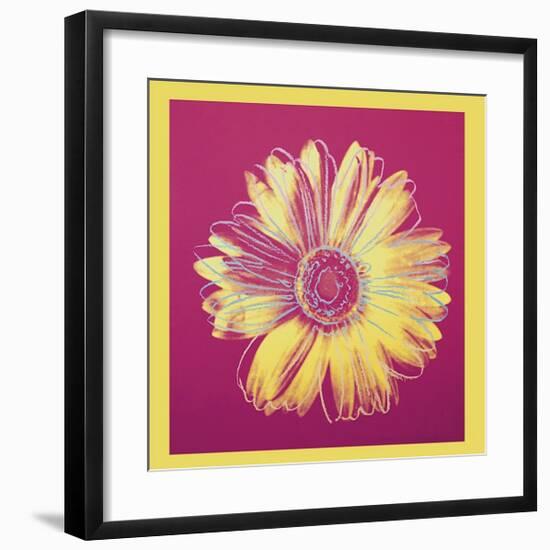 Daisy, c.1982 (Fuchsia and Yellow)-Andy Warhol-Framed Giclee Print