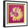 Daisy, c.1982 (Fuchsia and Yellow)-Andy Warhol-Framed Giclee Print