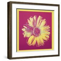 Daisy, c.1982 (Fuchsia and Yellow)-Andy Warhol-Framed Giclee Print