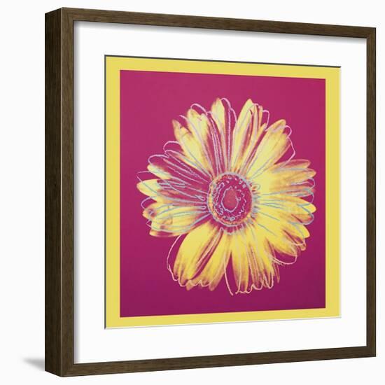 Daisy, c.1982 (Fuchsia and Yellow)-Andy Warhol-Framed Giclee Print