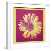 Daisy, c.1982 (Fuchsia and Yellow)-Andy Warhol-Framed Giclee Print