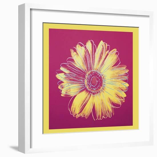 Daisy, c.1982 (Fuchsia and Yellow)-Andy Warhol-Framed Giclee Print