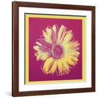 Daisy, c.1982 (Fuchsia and Yellow)-Andy Warhol-Framed Giclee Print