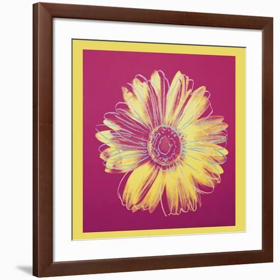 Daisy, c.1982 (Fuchsia and Yellow)-Andy Warhol-Framed Giclee Print