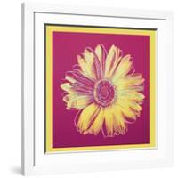 Daisy, c.1982 (Fuchsia and Yellow)-Andy Warhol-Framed Giclee Print