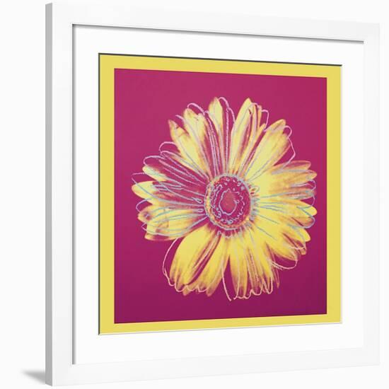 Daisy, c.1982 (Fuchsia and Yellow)-Andy Warhol-Framed Giclee Print