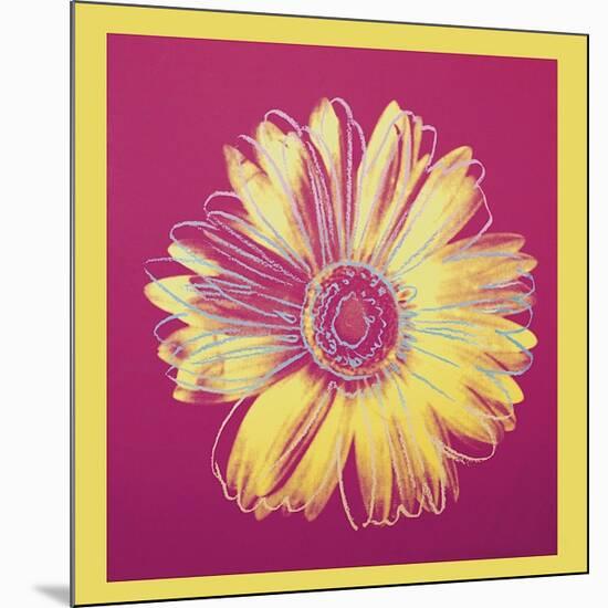 Daisy, c.1982 (Fuchsia and Yellow)-Andy Warhol-Mounted Giclee Print