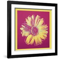 Daisy, c.1982 (Fuchsia and Yellow)-Andy Warhol-Framed Giclee Print