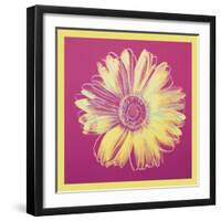 Daisy, c.1982 (fuchsia & yellow)-Andy Warhol-Framed Art Print