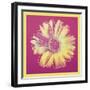 Daisy, c.1982 (fuchsia & yellow)-Andy Warhol-Framed Art Print