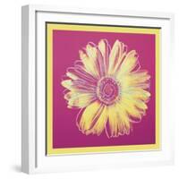 Daisy, c.1982 (fuchsia & yellow)-Andy Warhol-Framed Art Print