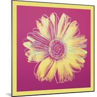 Daisy, c.1982 (fuchsia & yellow)-Andy Warhol-Mounted Art Print