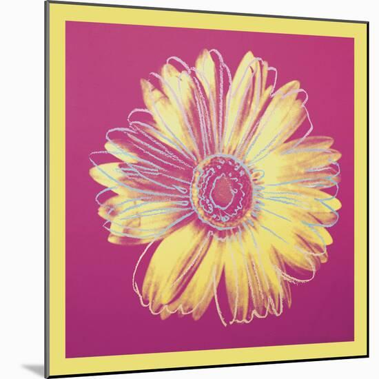 Daisy, c.1982 (fuchsia & yellow)-Andy Warhol-Mounted Art Print