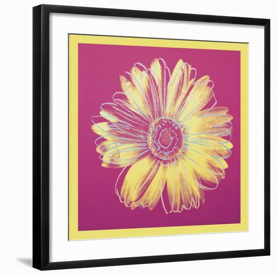 Daisy, c.1982 (fuchsia & yellow)-Andy Warhol-Framed Art Print