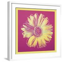 Daisy, c.1982 (fuchsia & yellow)-Andy Warhol-Framed Art Print