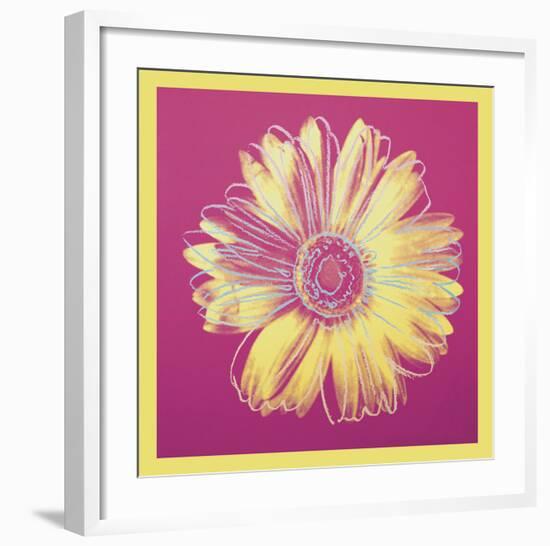 Daisy, c.1982 (fuchsia & yellow)-Andy Warhol-Framed Art Print