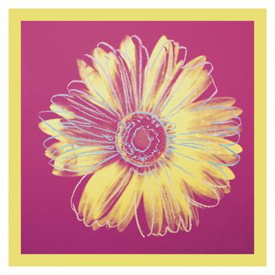 https://imgc.allpostersimages.com/img/posters/daisy-c-1982-fuchsia-yellow_u-L-F8CG620.jpg?artPerspective=n