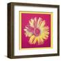 Daisy, c.1982 (Fuschia and Yellow)-Andy Warhol-Framed Art Print