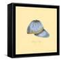 Daisy Cap-Robin Betterley-Framed Stretched Canvas