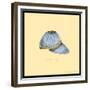 Daisy Cap-Robin Betterley-Framed Giclee Print