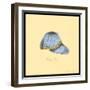 Daisy Cap-Robin Betterley-Framed Giclee Print