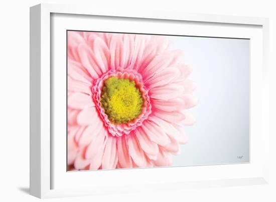 Daisy Close-up-Donnie Quillen-Framed Art Print