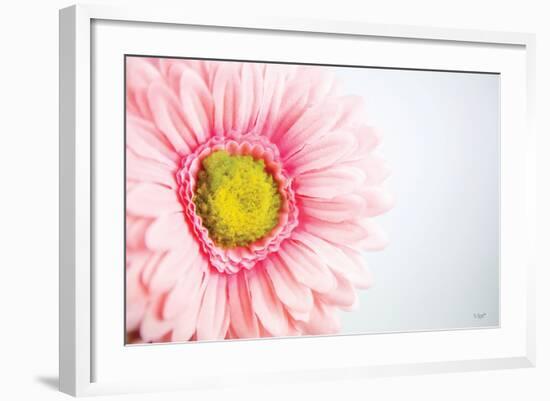 Daisy Close-up-Donnie Quillen-Framed Art Print