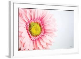 Daisy Close-up-Donnie Quillen-Framed Art Print