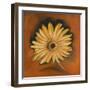 Daisy Collection I-Nelly Arenas-Framed Art Print