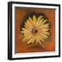 Daisy Collection I-Nelly Arenas-Framed Art Print