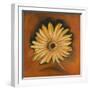 Daisy Collection I-Nelly Arenas-Framed Art Print