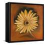 Daisy Collection I-Nelly Arenas-Framed Stretched Canvas