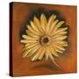 Daisy Collection I-Nelly Arenas-Stretched Canvas