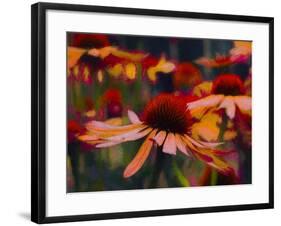 Daisy Daisy, 2019,-Helen White-Framed Giclee Print