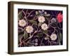 Daisy Dance-Ruth Palmer-Framed Art Print