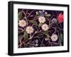 Daisy Dance-Ruth Palmer-Framed Art Print