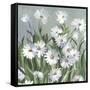 Daisy Day-Asia Jensen-Framed Stretched Canvas