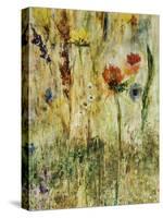 Daisy Day-Jodi Maas-Stretched Canvas